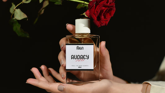 Audrey: A Timeless Tribute to Elegance and Grace